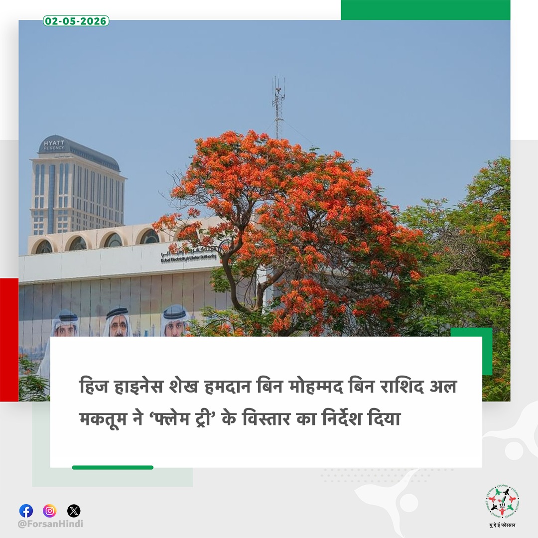 ForsanHindi's tweet image. दुबई में फ्लेम ट्री के रोपण के विस्तार का निर्देश।

#UAE #Dubai #Summer
@HamdanMohammed