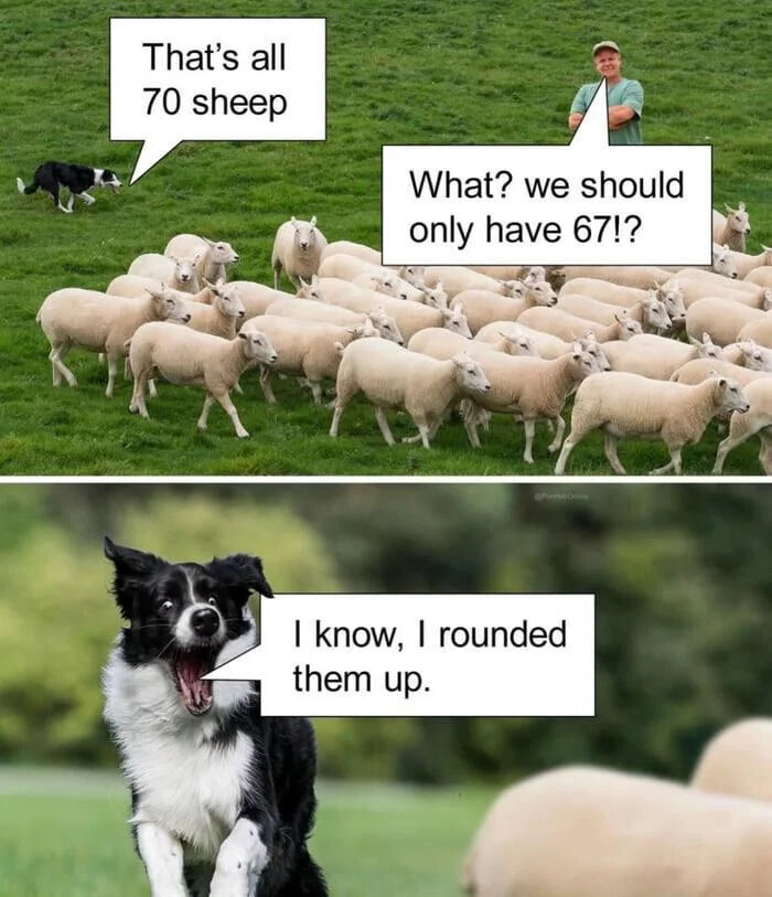 WholesomeMemes tweet media