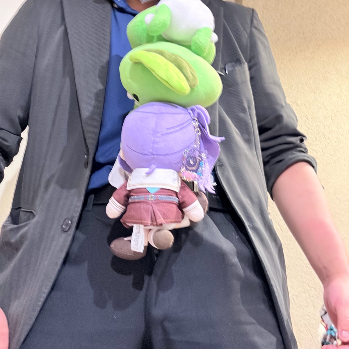 すてらいと🦐 tweet media