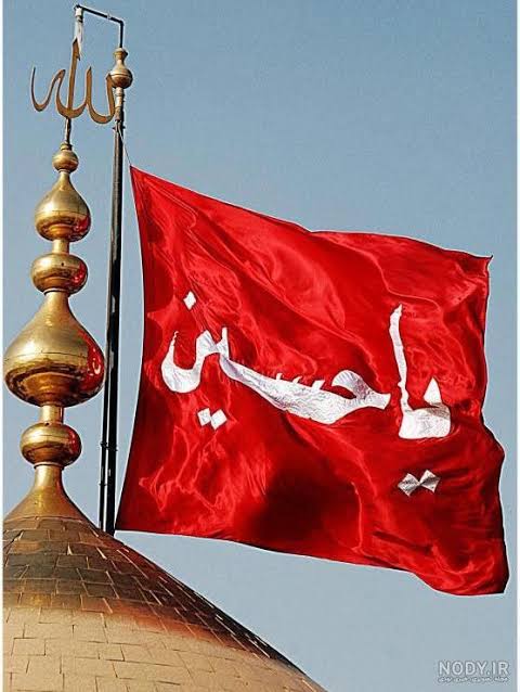 Seyed Mohammad Marandi tweet media