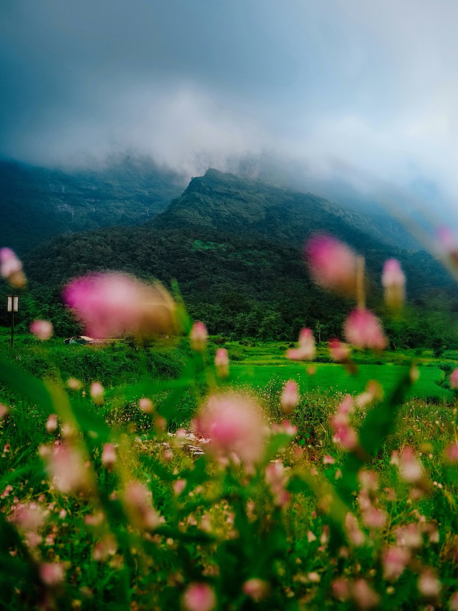Photos I Took in Maharashtra.