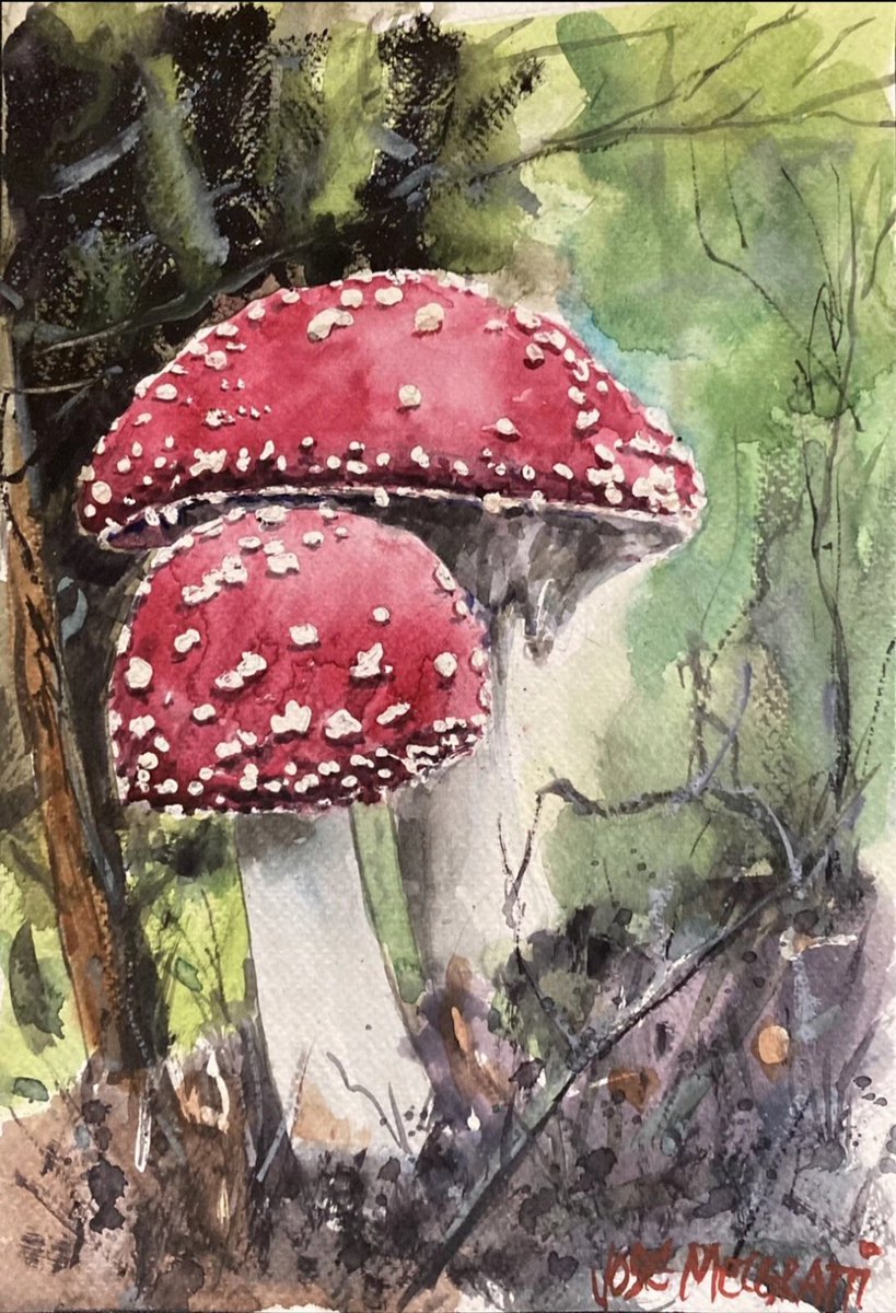 jose_melgratti's tweet image. Watercolor on paper
Acuarela sobre papel 
ebay.us/m/H2PqG3

#Watercolor #Original #Painting #Acuarela #Watercolour #JoséMelgratti #Art #Mushrooms