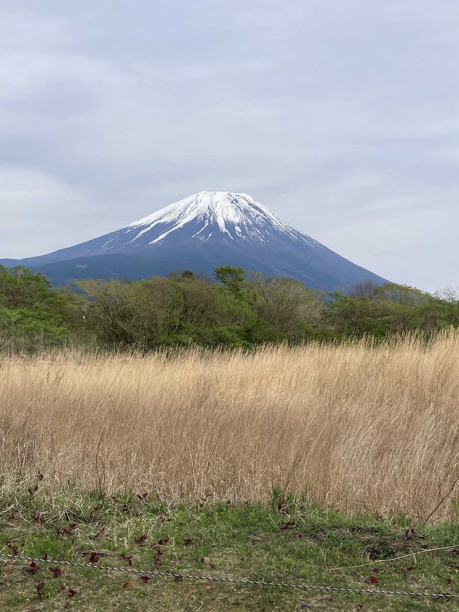 TAMA_2ndEdition's tweet photo. ネズミ園からの富士キャン https://t.co/TqA21ne6S7