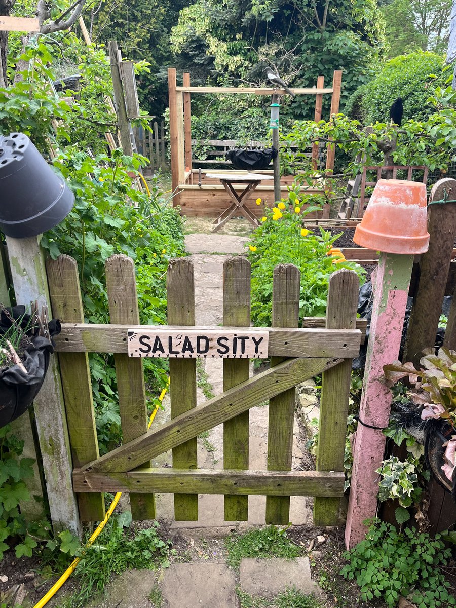 CraggMalcolm's tweet photo. Project Local🥕 https://t.co/GnwEIRwghq