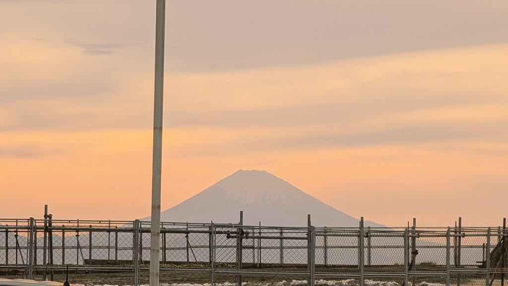 Mr.秋葉原ササキチ tweet media
