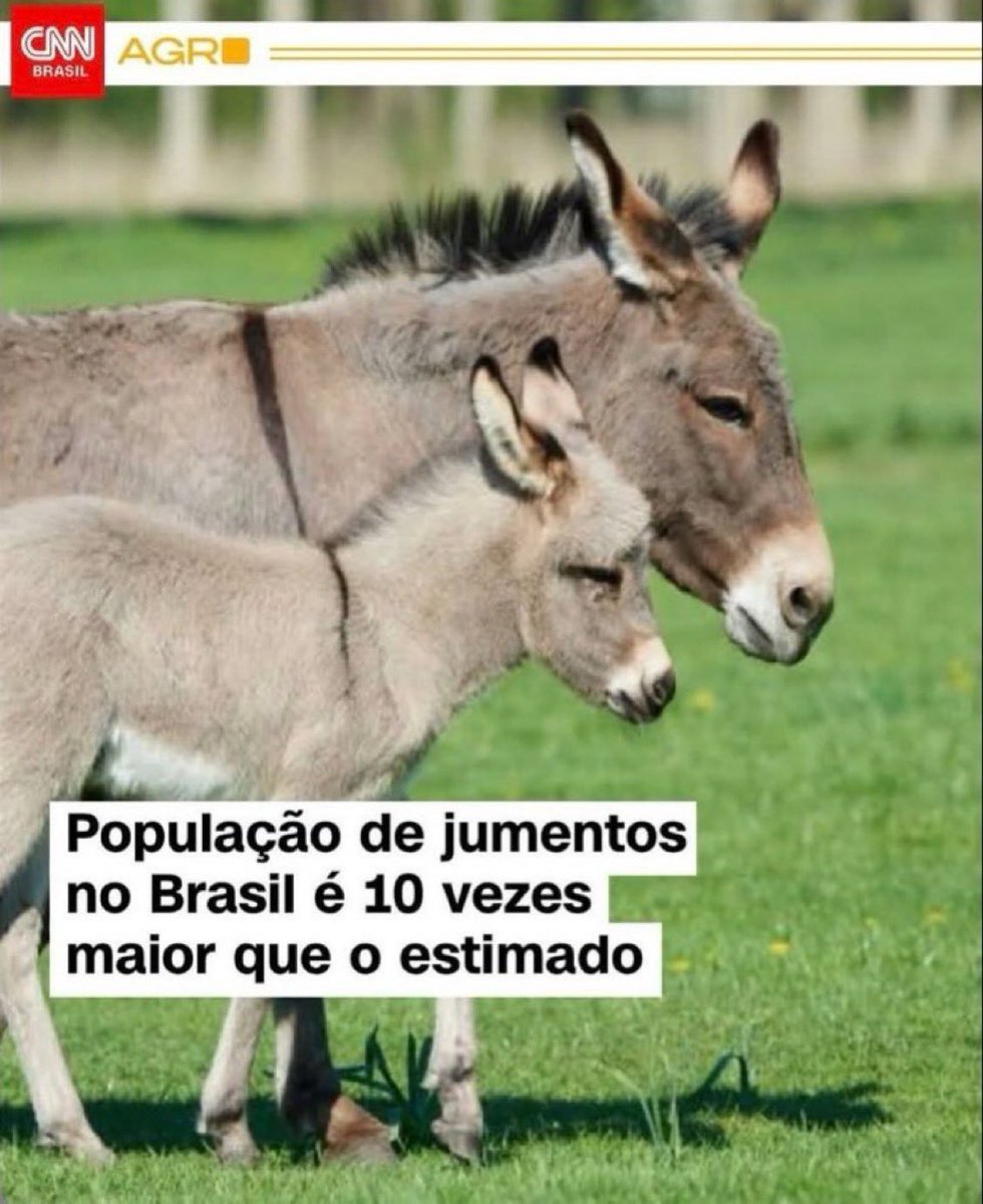 Quem é Satoshi tweet media