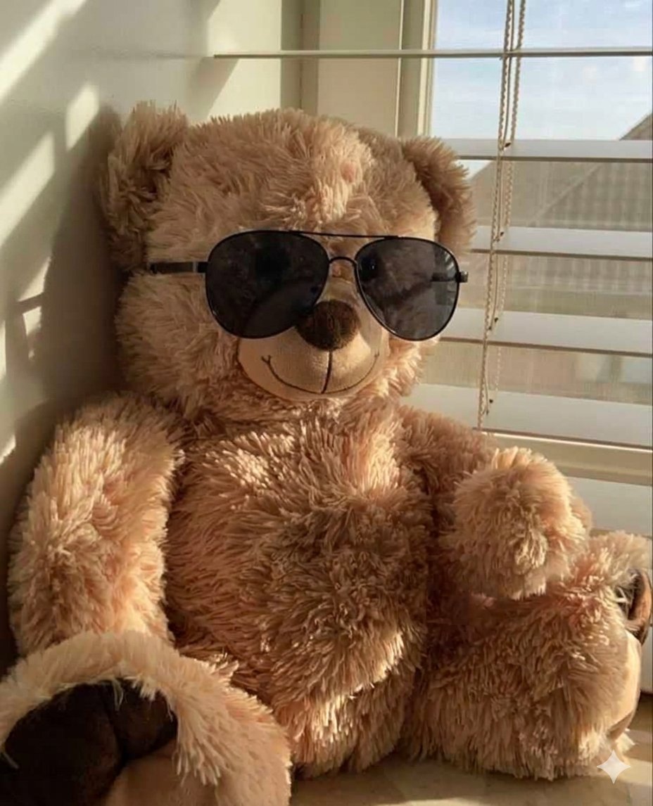 luna111496's tweet photo. 😎🧸 https://t.co/WPEUkdE7z8