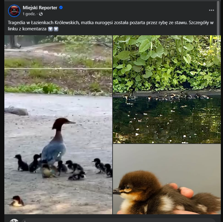 Łukasz Warzecha tweet media