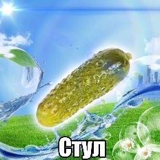 мышь|mush tweet media