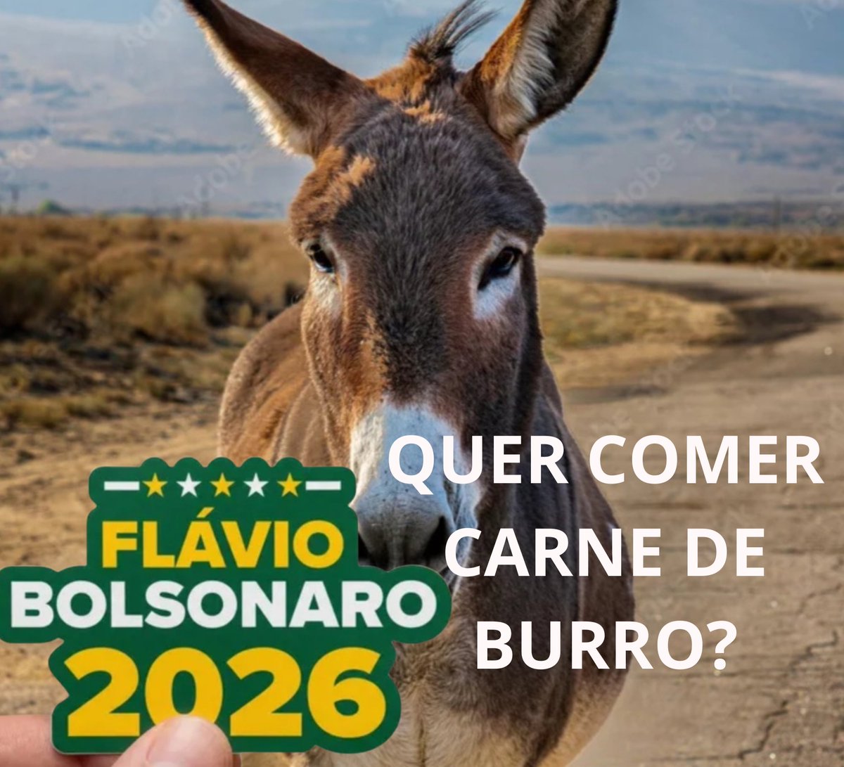 Gilson Campelo tweet media