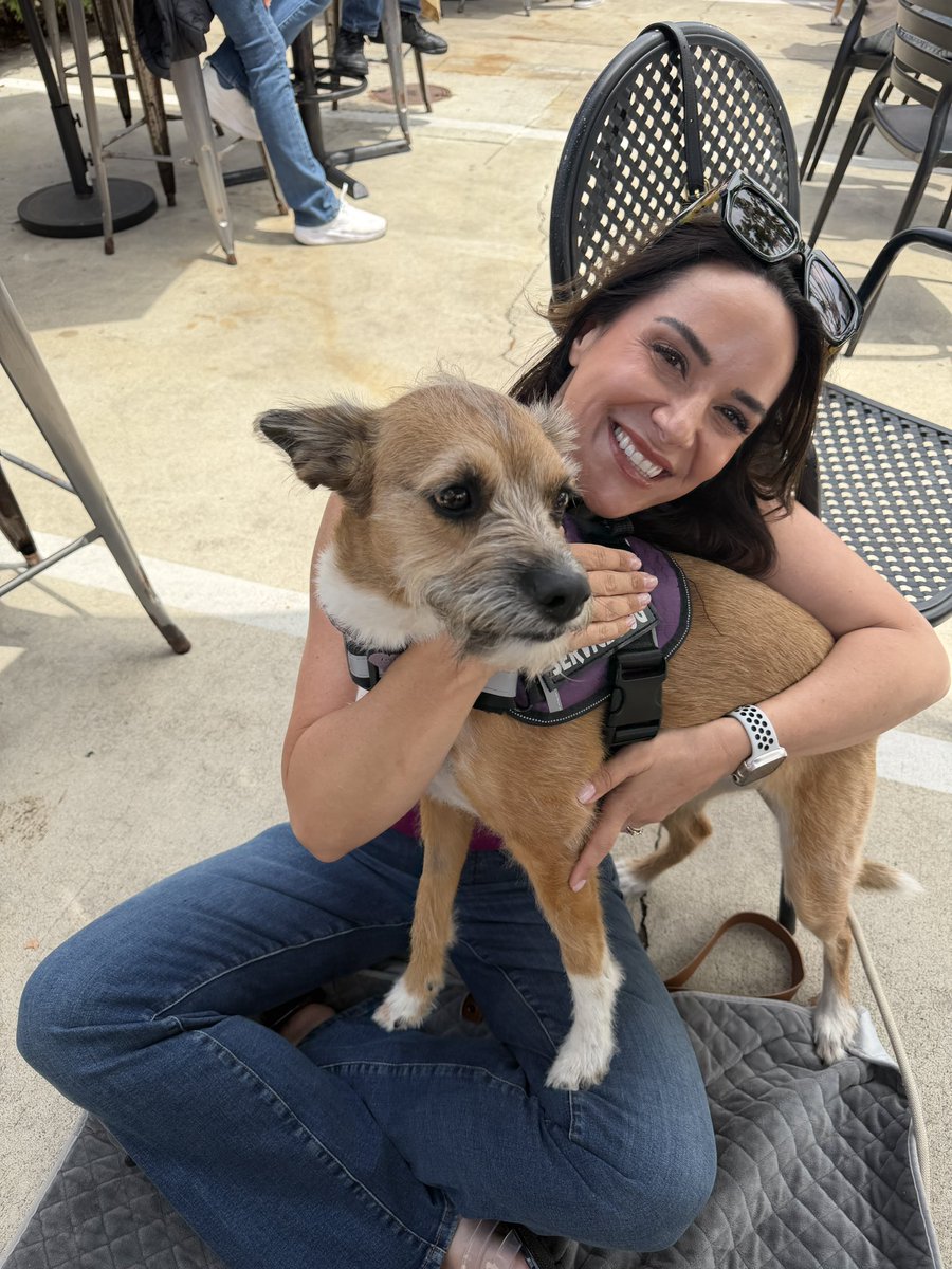 HollyJSD's tweet image. Happy #saturday #dogs #sandiego