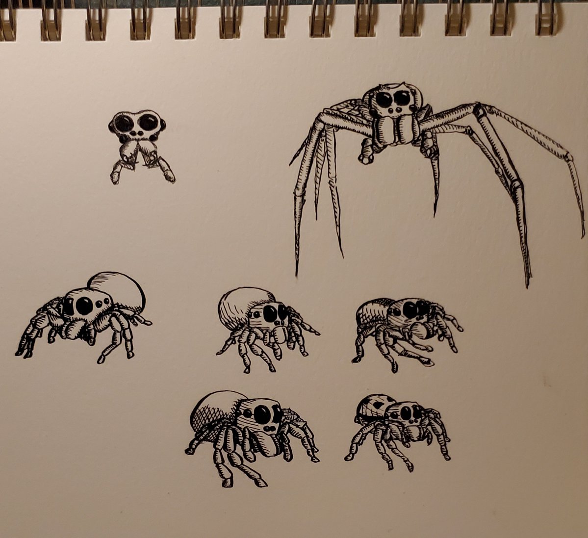 Mr. Spider tweet media