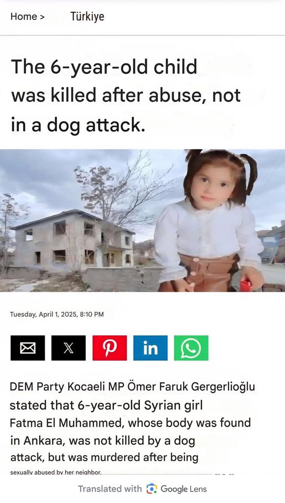 PhaedraXTeddy's tweet image. As happens to r*PE /m*rder victims in #Turkey 🇹🇷, DOGs are blamed by the powerful anti dog lobby. If a child is lost, they just say dogs ate the child.
For instance, A mentally challenged man was found ded with pants around his ankles. A dog hating journalist and another man went
