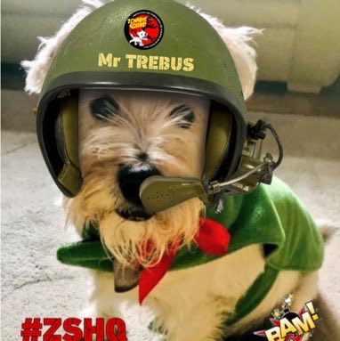 Mr Trebus aka Treebs 🐶🌈BoBoes aka Bear Cub🐻🌈 tweet media