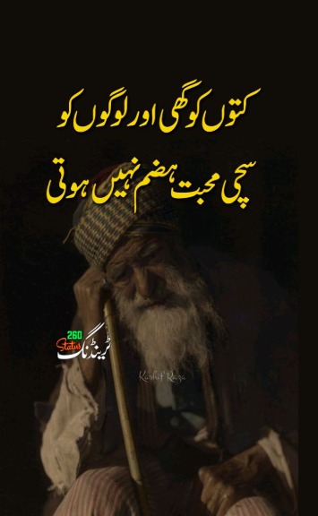 kproudyswagger's tweet image. Shayari meri pehli awaaz 📖🗣️ #Voice