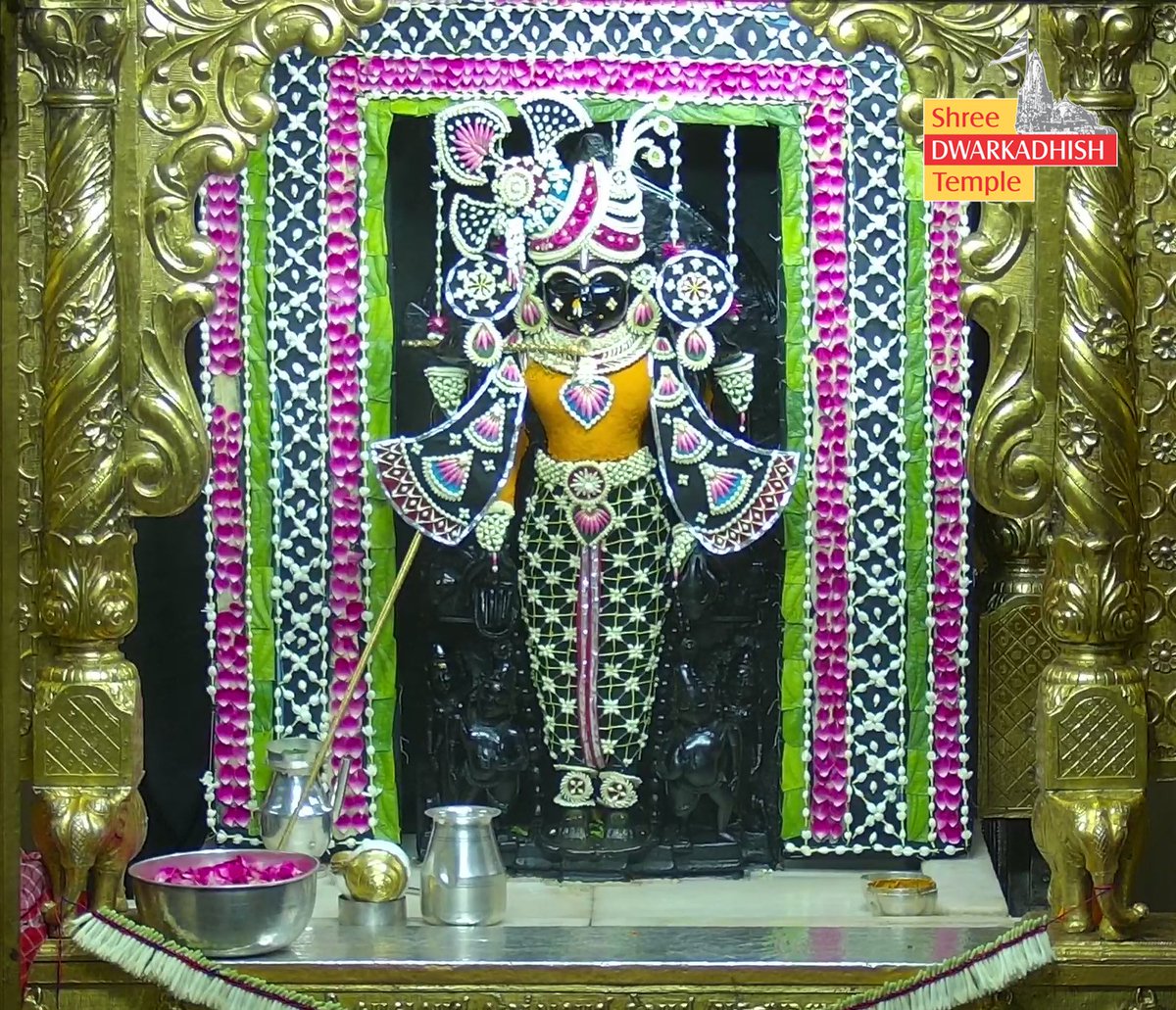 dr_rajpurohit's tweet image. राजाधीराज द्वारीकाधीशजी के पुष्पश्रृंगार एवं संध्या आरती दर्शन। 🙏🏻
श्री द्वारकाधीश मंदिर, द्वारका, (गुजरात)। ज्येष्ठ मास कृष्ण पक्ष-१,
दिनांक:- 02.05.2026 (शनिवार)।                                          
#dwarka #sandhyaaarti #pushpshringar
