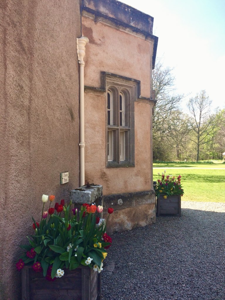 AilishSinclair's tweet image. Tulips at Brodie Castle. #Scotland