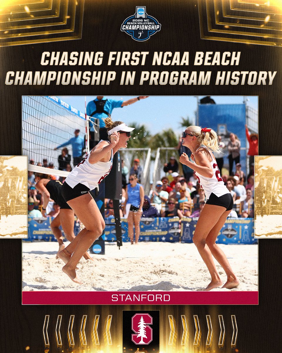 NCAA Women's Volleyball tweet media