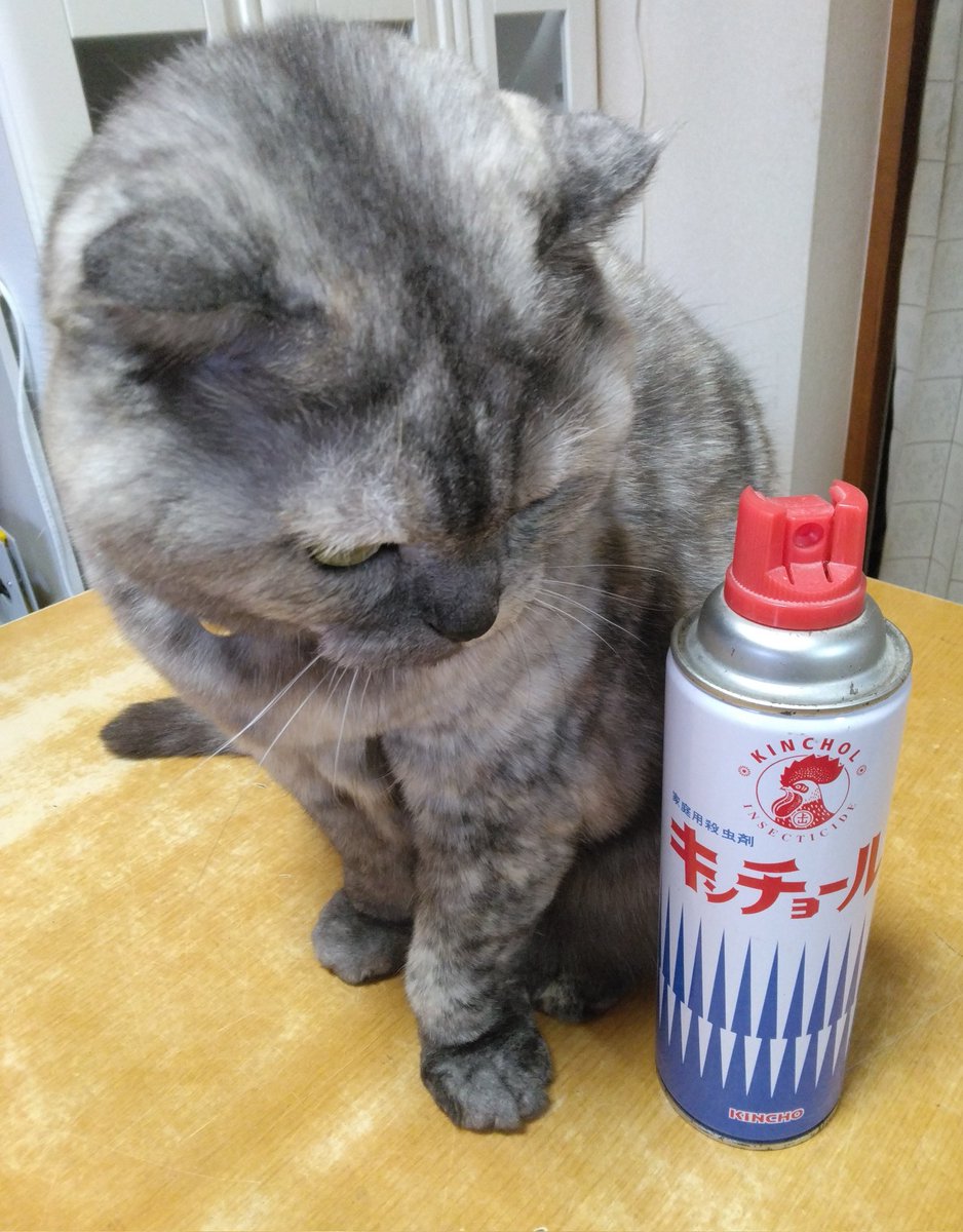 ギャオス tweet media