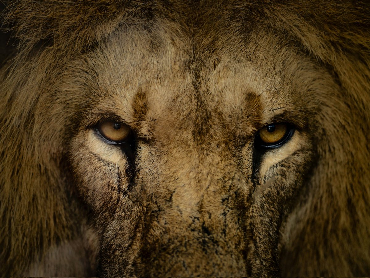 Leo223814 tweet media