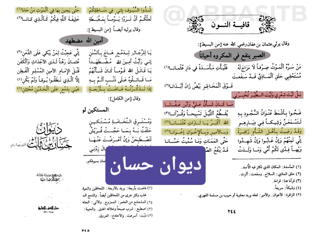 رويال الزبيدي🎖 tweet media