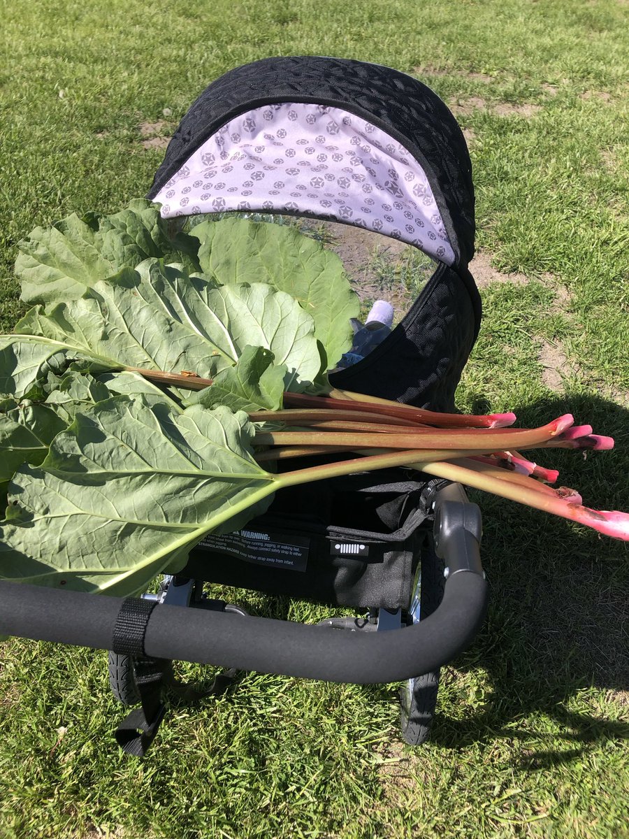 The Reluctant Prepper tweet media