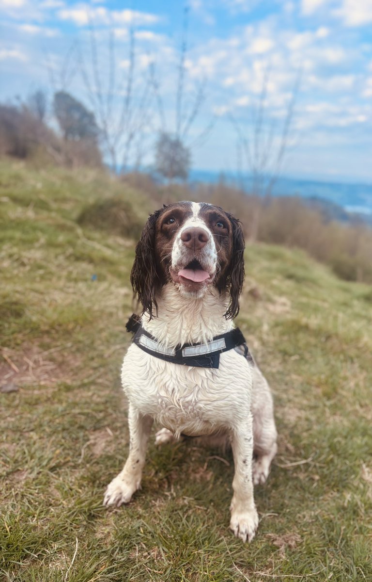 JamesCurrie81's tweet photo. Happy wed dug 🐶 https://t.co/xNAwQjoKLz