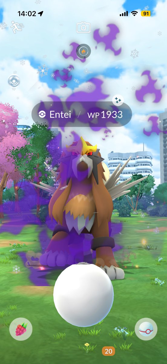 MoseMich1507's tweet image. #Crypto #Raidtag mit #Entei hat richtig Bock gemacht! 🔥🔥🔥
4 #shiny aus 46 Raids, dazu 3 erlöste 💯er 🥳.
Die Community war auch wieder großartig, trotz top Wetter und Feiertagswochenende fast 70 Leute am Start 👍🏻.

#pokemongo #communityambassador #muenster