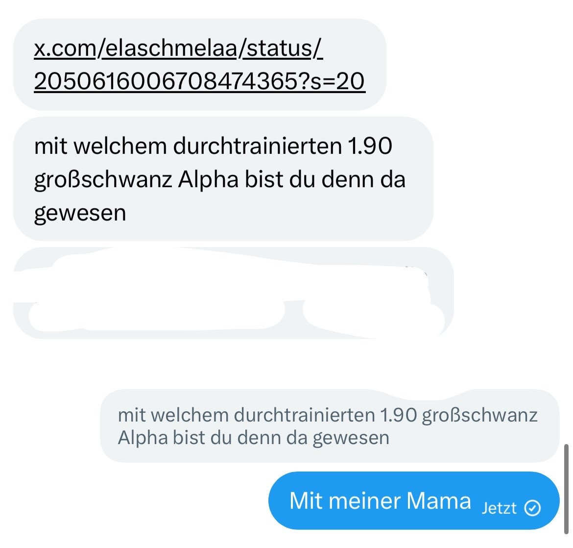 elaschmela tweet media
