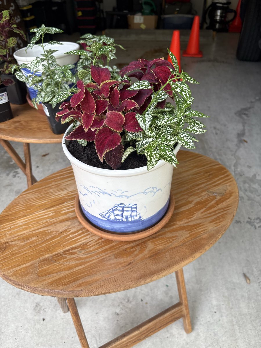 Verace_me's tweet image. Really?!?! Man thank you so much. I’ll light candles and make plants for my old Key West boys 🙏❤️
#SpectrumVII #KeyWest 
🎶🇺🇸🎤🎸🇺🇸🎶