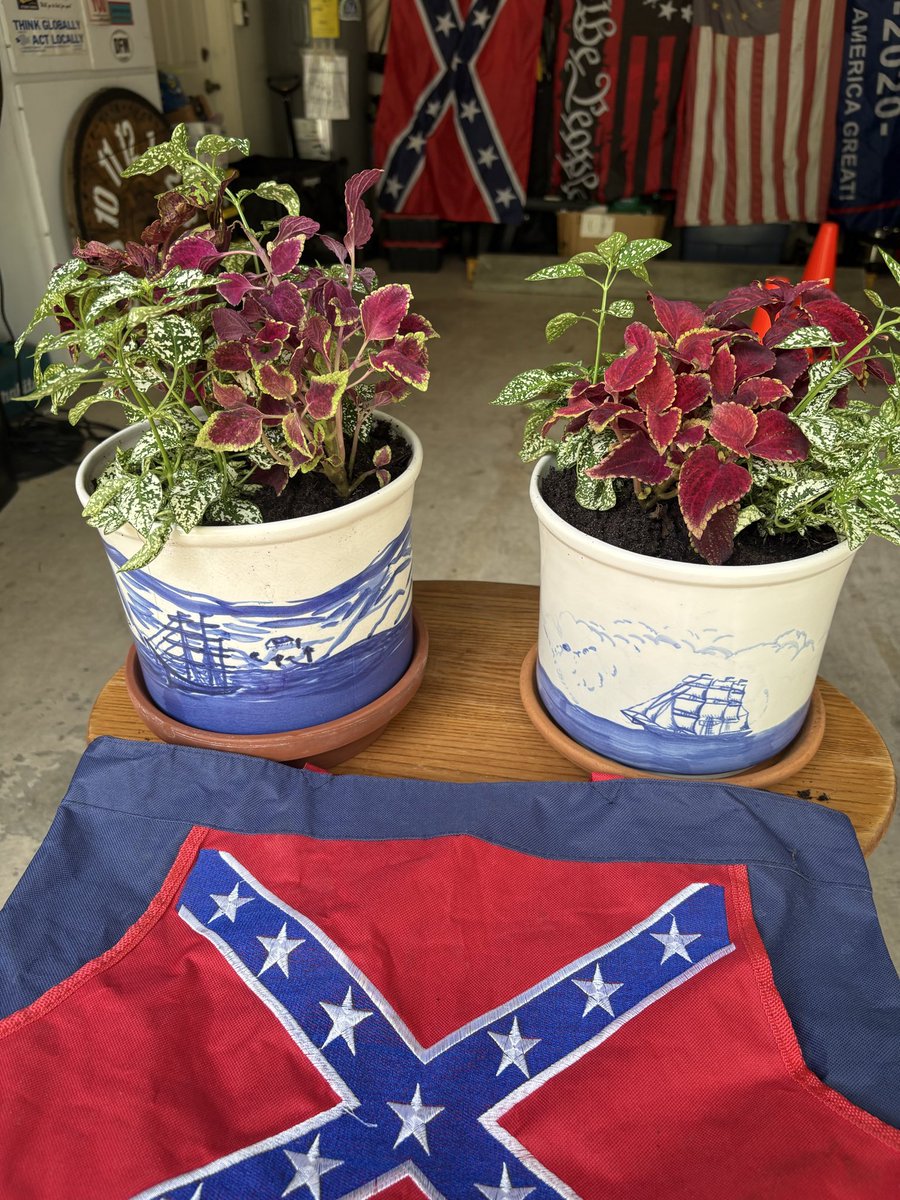 Verace_me's tweet image. Really?!?! Man thank you so much. I’ll light candles and make plants for my old Key West boys 🙏❤️
#SpectrumVII #KeyWest 
🎶🇺🇸🎤🎸🇺🇸🎶
