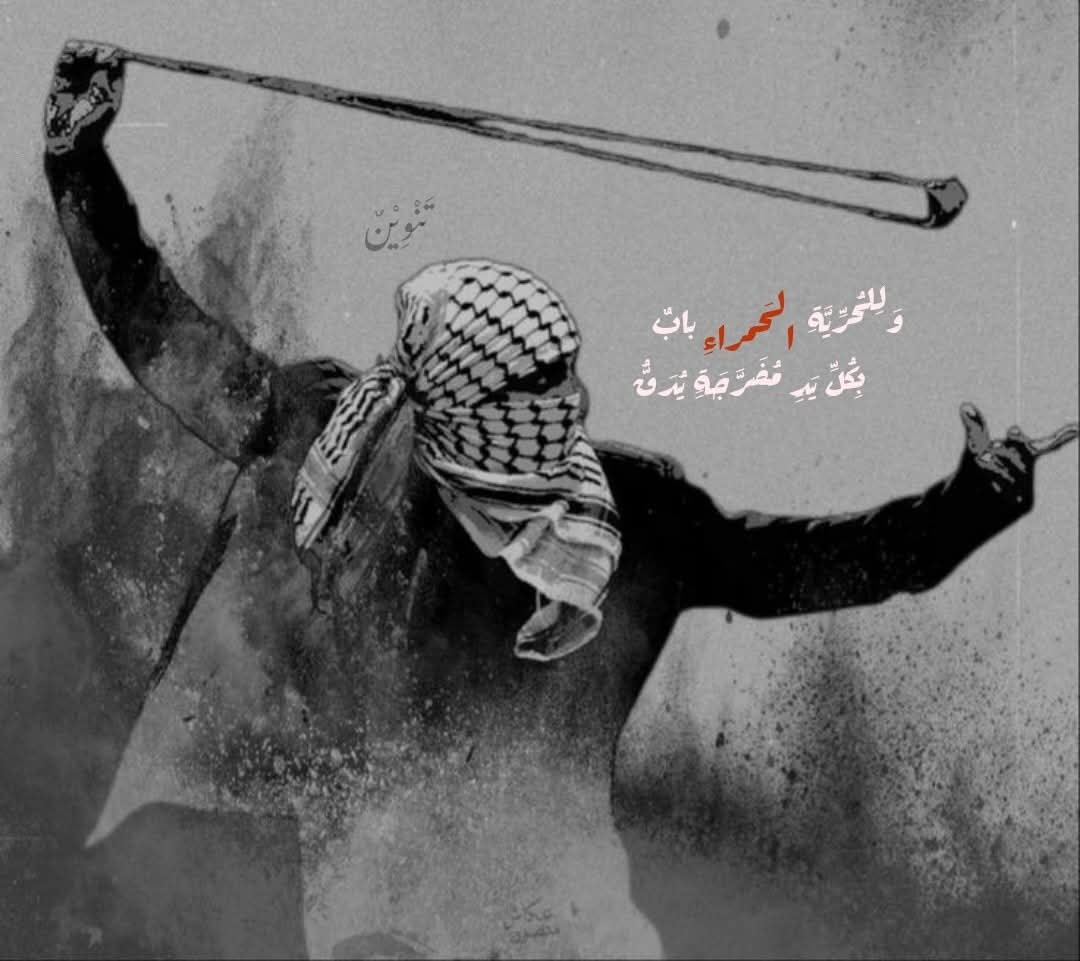 🌾Ibrahim Helayl tweet media