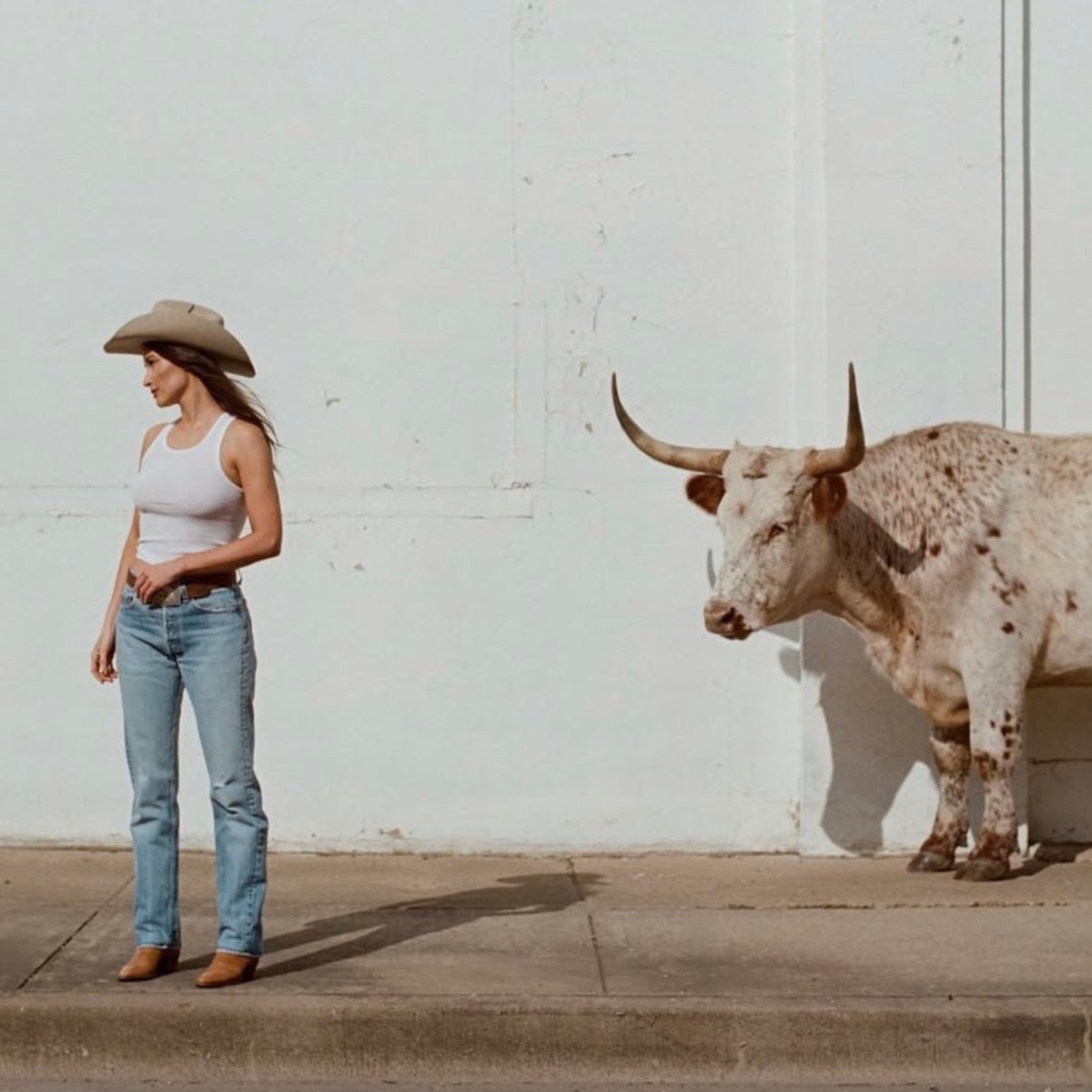Kacey Musgraves Access tweet media