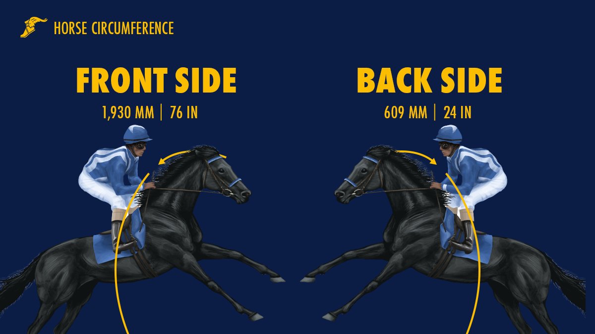 Goodyear Racing tweet media