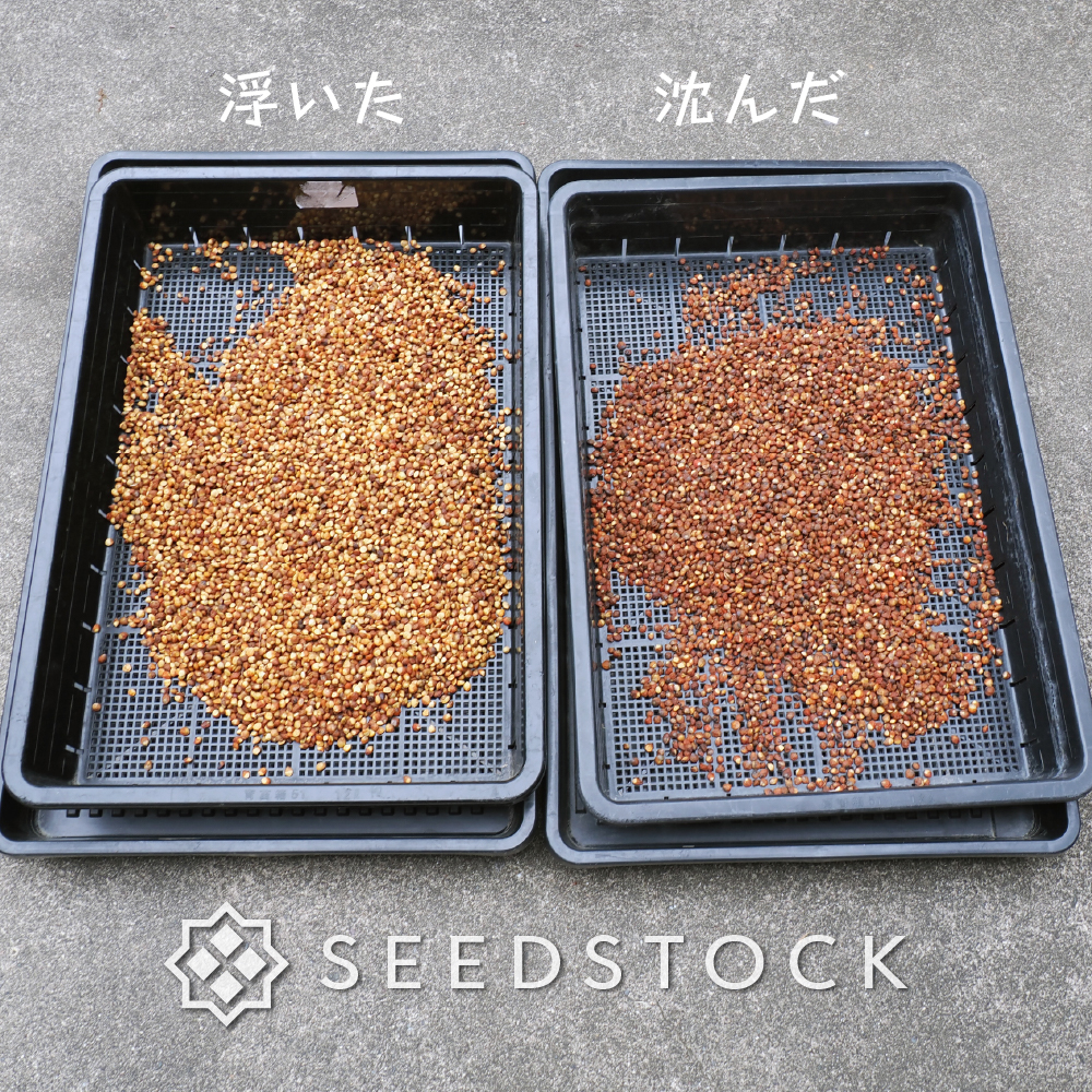 SEEDSTOCK (@seedstock_jp) / Posts / X