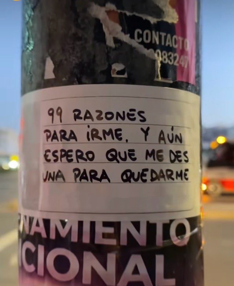 kaótica 🪬 tweet media