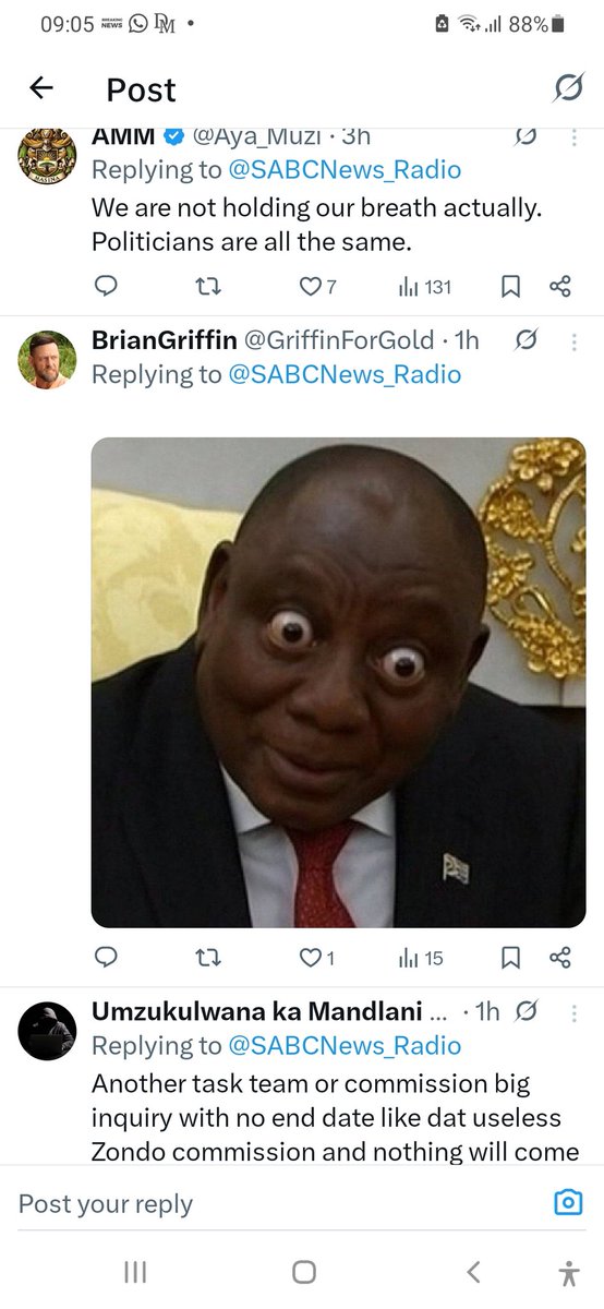 Peanut who shall be Vernon🇿🇦🇬🇧 tweet media