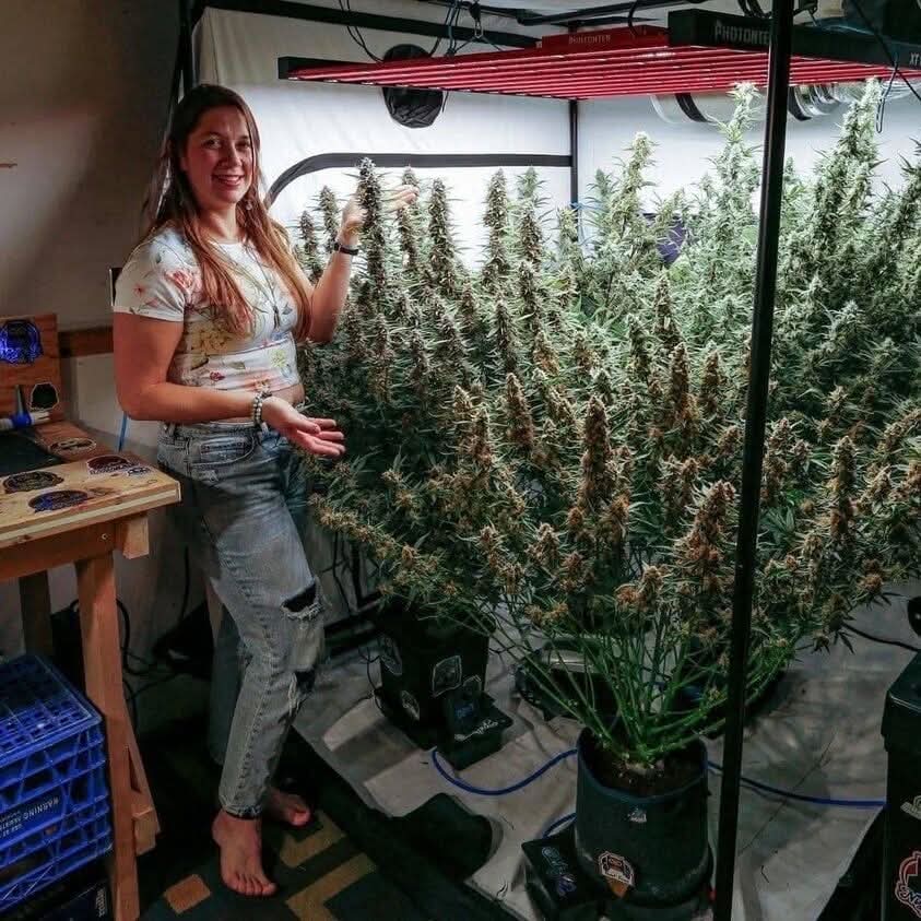 SpaceCannabis 🍃 tweet media