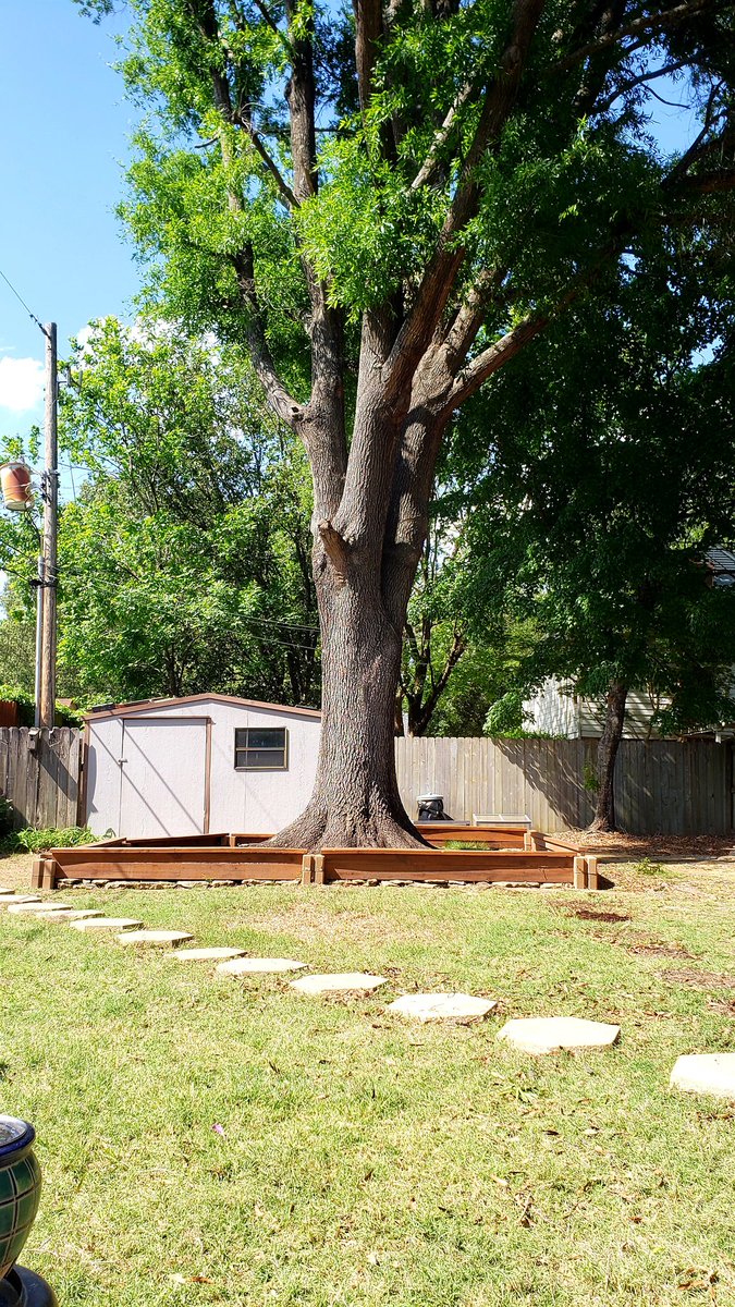rwyjunior's tweet image. It's #Backyard views from below