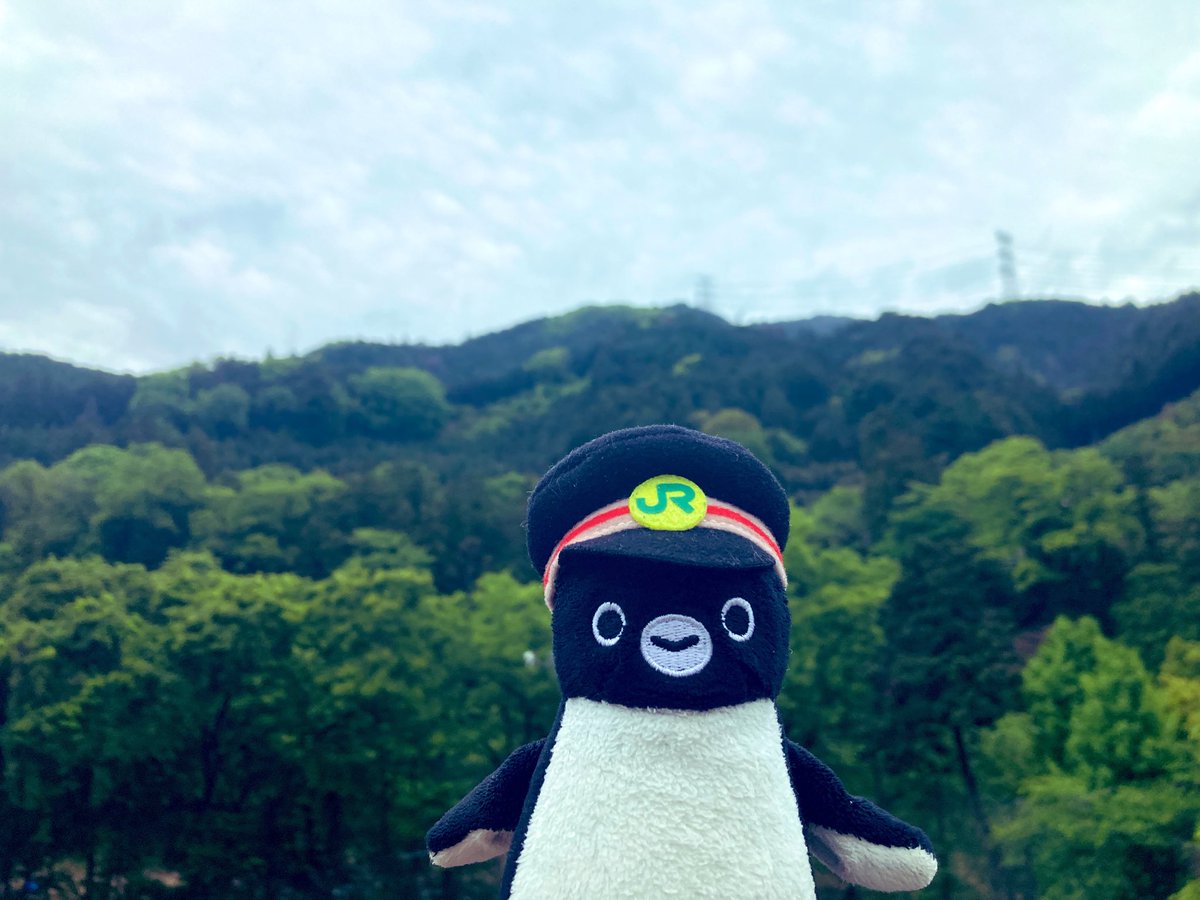 星の人@Planetarian tweet media