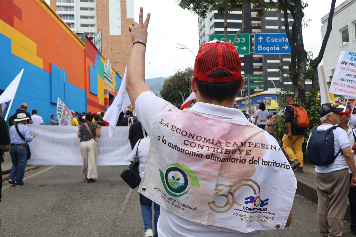 Observatorio de Paz y DDHH Corporación Compromiso tweet media