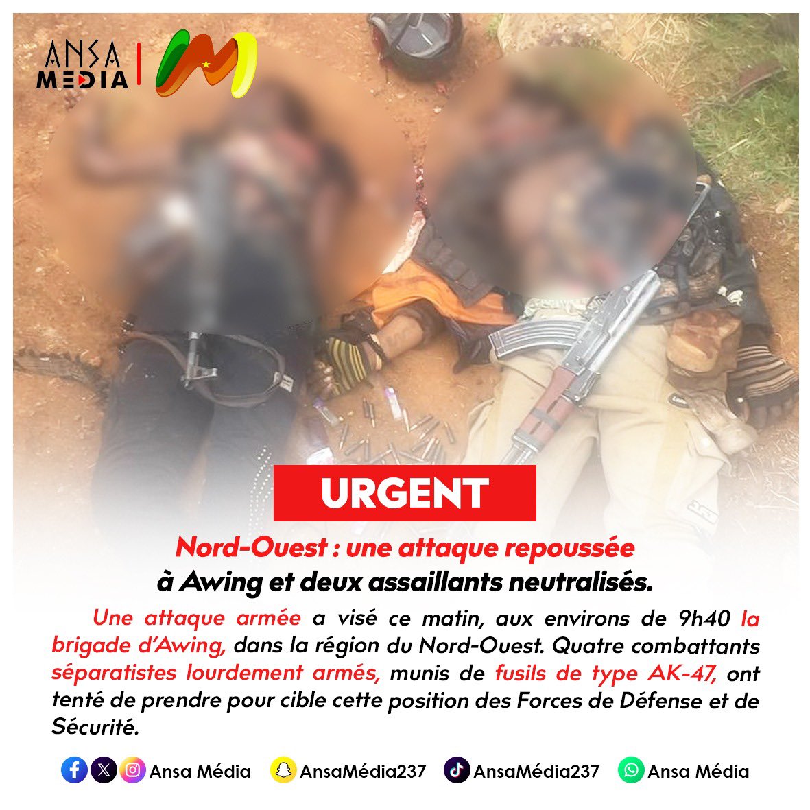 Ansa Media tweet media
