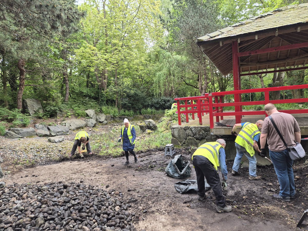 FestivalGardns's tweet image. More progress in the Japanese Garden this morning—slowly uncovering the basin after years of overgrowth. 

It’s rewarding to see its shape and character coming back to life. 🌿

#FestivalGardens #Volunteering