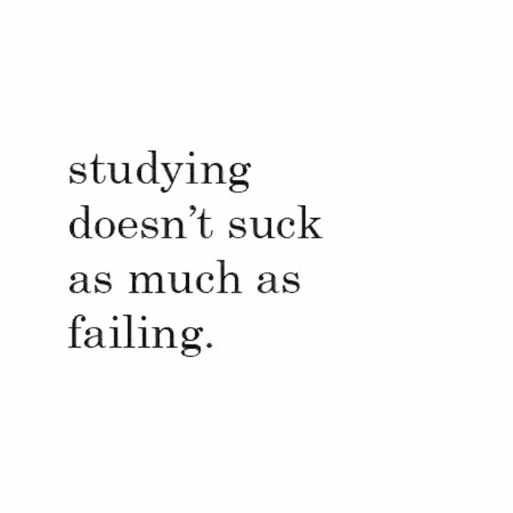 ୨ৎ pau | #studytwt tweet media