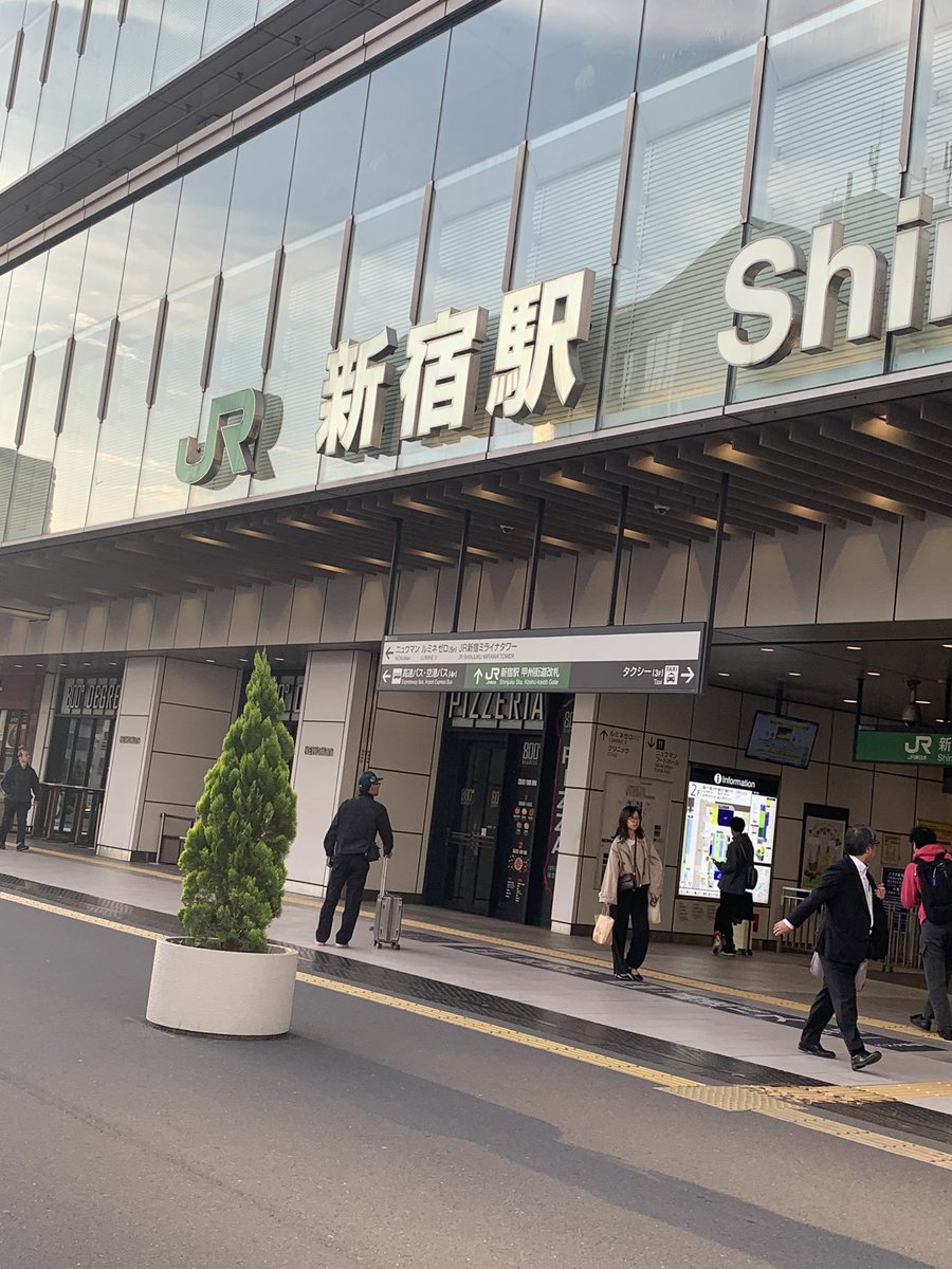 茶村 tweet media
