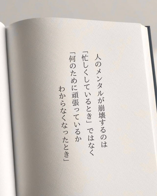 びっとらべる tweet media