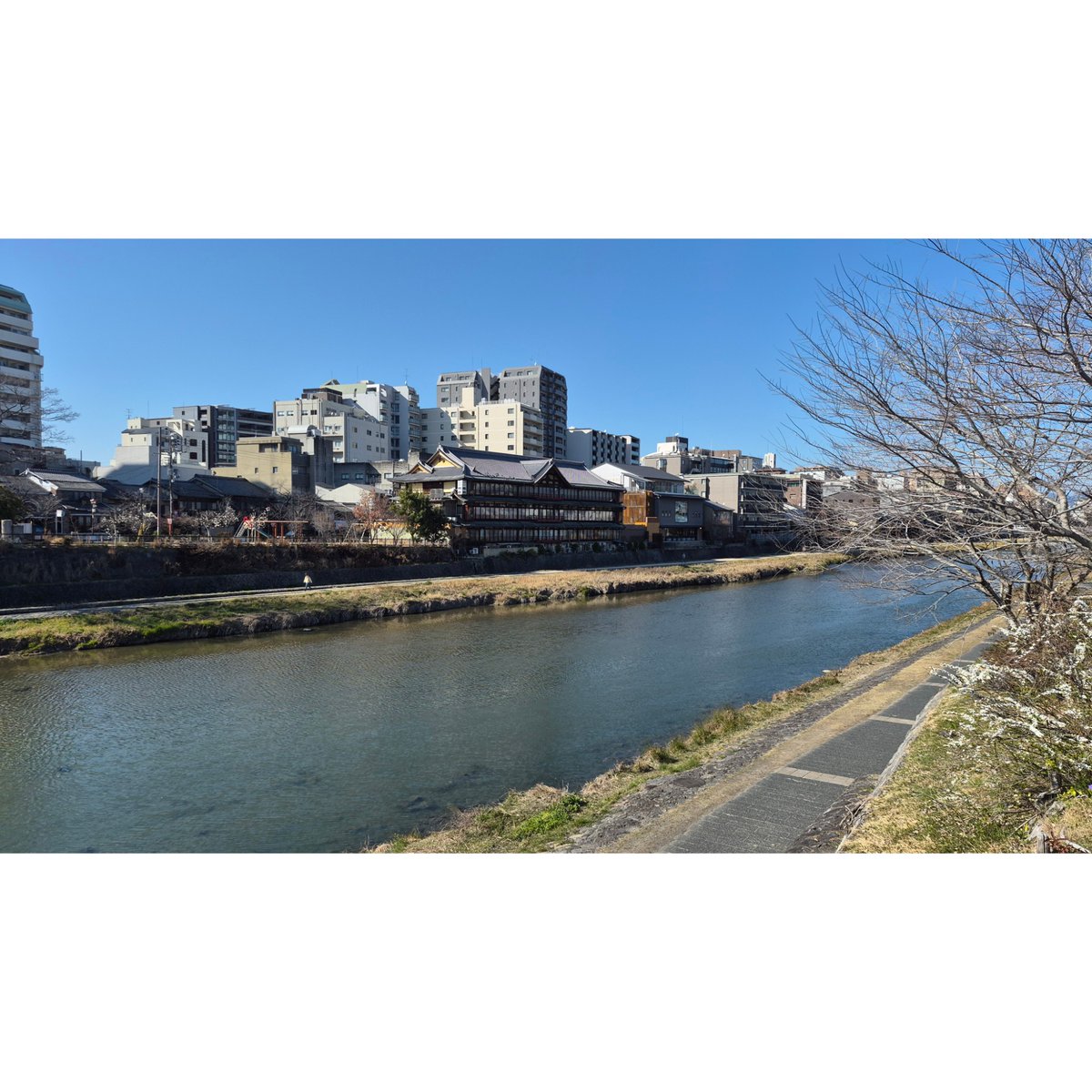 Juki_W's tweet image. Kyoto, Japan 🇯🇵🍚🍜

Julaayy.blogspot.com/2026/05/kyoto.…

#blog #blogger #travelblog #travelblogger #liverpoolblogger #holiday #travels #kyoto #Japan #HigashiHonganjiTemple #nideckyototower #bullettrain #japanesefood #kyototower