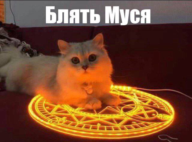 Скиньте ваш любимый мем про Мусю пожалуйста