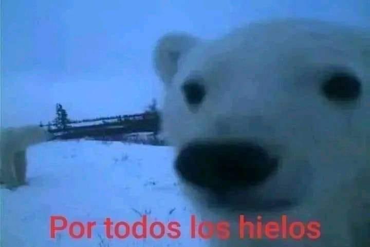 𝓜ilán •ᴗ• tweet media