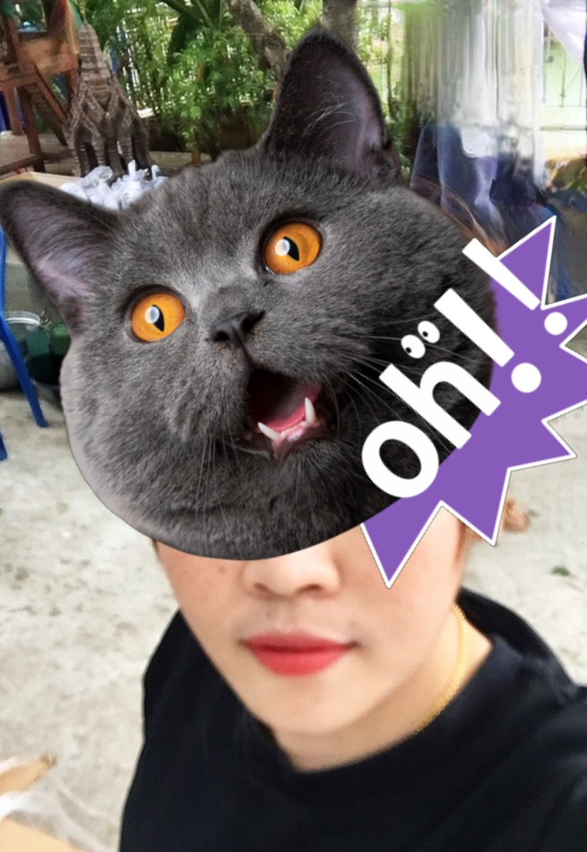 คู่แท้ (พร้อมแล้วทักมาแนะนำตัวมาเลย) tweet media